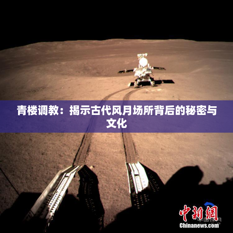 青楼调教：揭示古代风月场所背后的秘密与文化