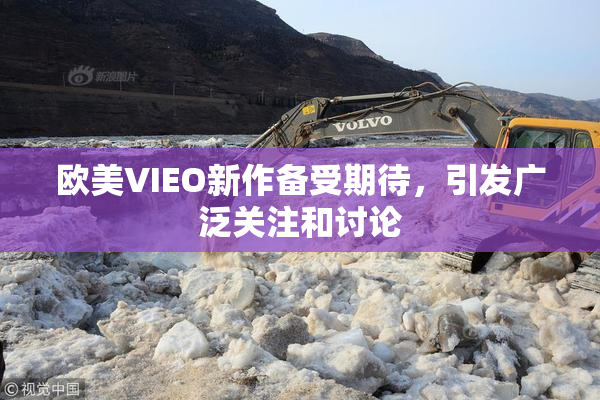欧美VIEO新作备受期待，引发广泛关注和讨论