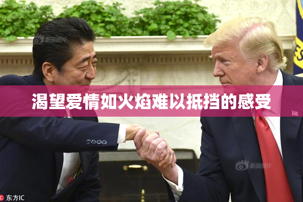 渴望爱情如火焰难以抵挡的感受