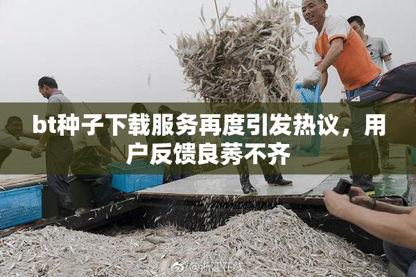 bt种子下载服务再度引发热议，用户反馈良莠不齐