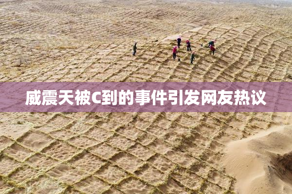 威震天被C到的事件引发网友热议