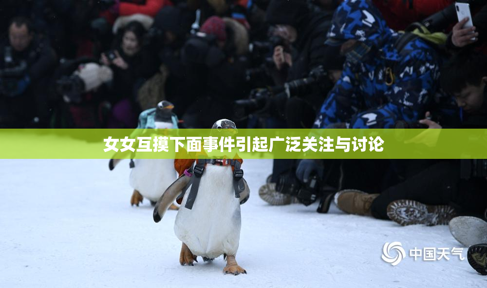 女女互摸下面事件引起广泛关注与讨论