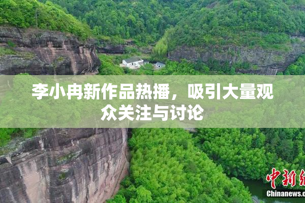 李小冉新作品热播，吸引大量观众关注与讨论