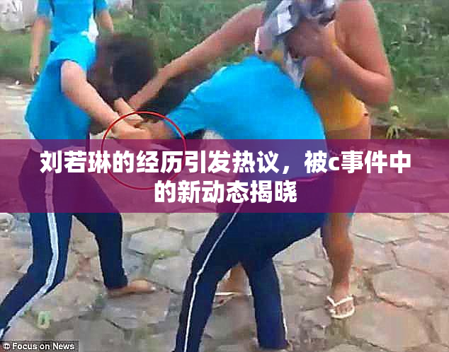 刘若琳的经历引发热议，被c事件中的新动态揭晓