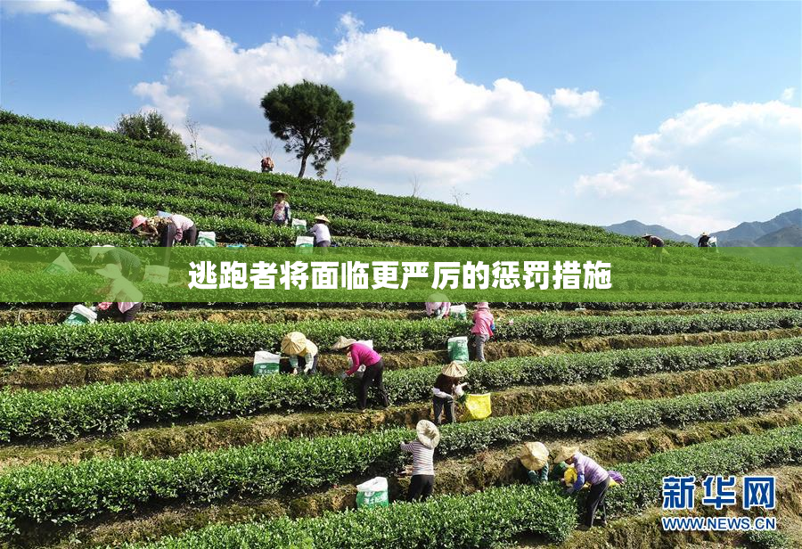 逃跑者将面临更严厉的惩罚措施