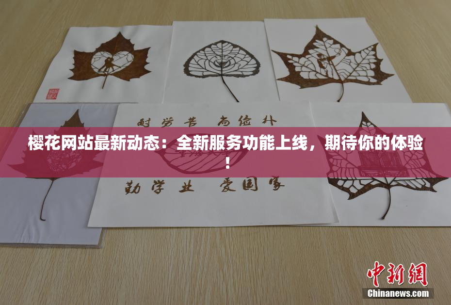樱花网站最新动态：全新服务功能上线，期待你的体验！