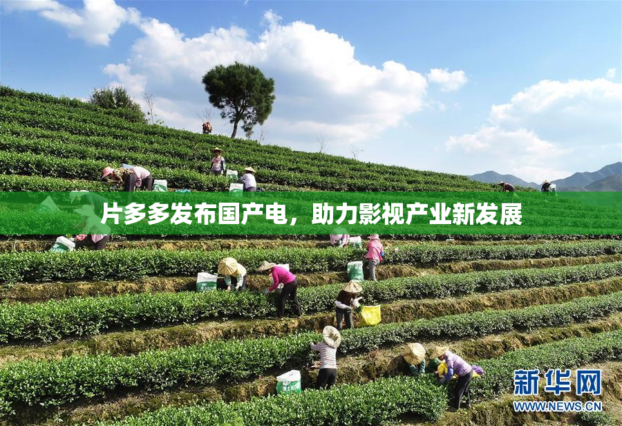片多多发布国产电，助力影视产业新发展