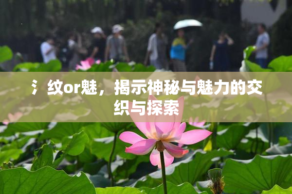 氵纹or魅，揭示神秘与魅力的交织与探索