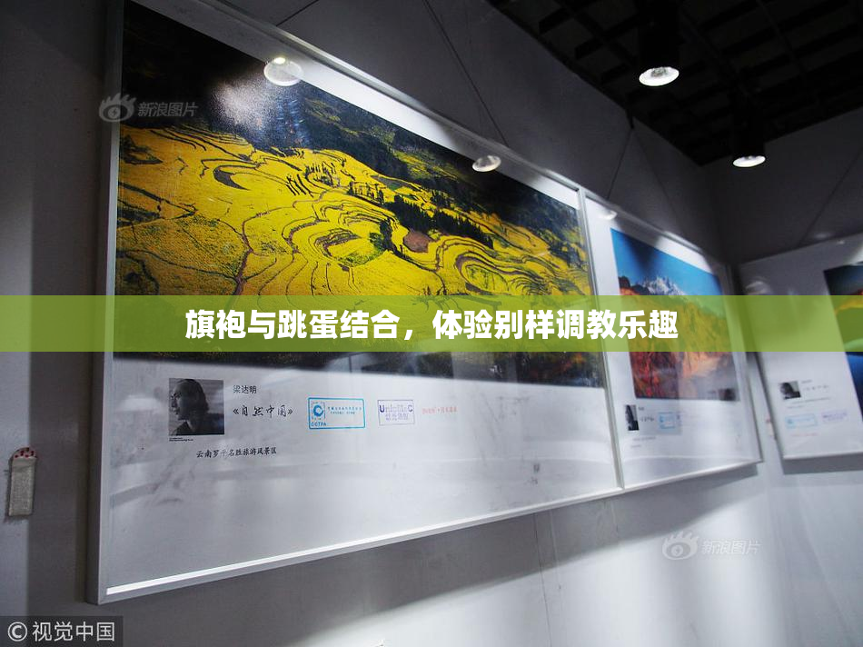 旗袍与跳蛋结合，体验别样调教乐趣