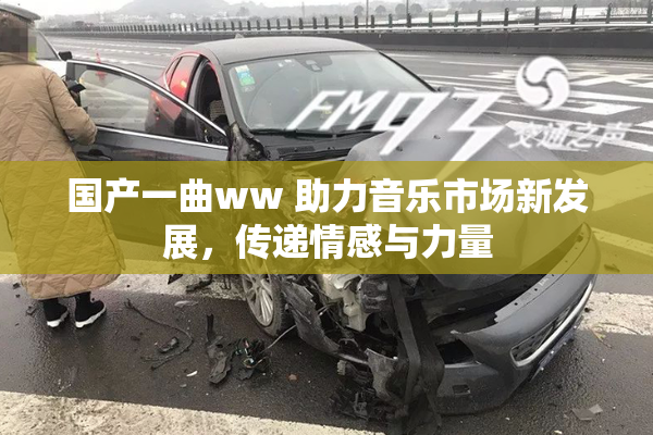 国产一曲ww 助力音乐市场新发展，传递情感与力量