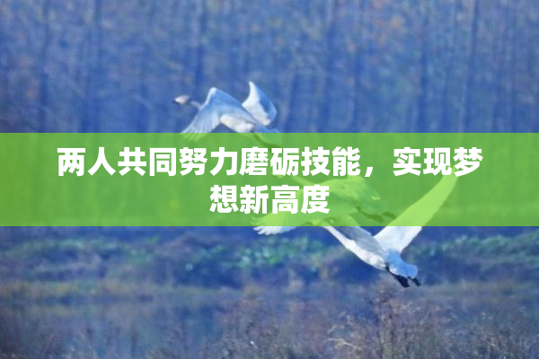 两人共同努力磨砺技能，实现梦想新高度