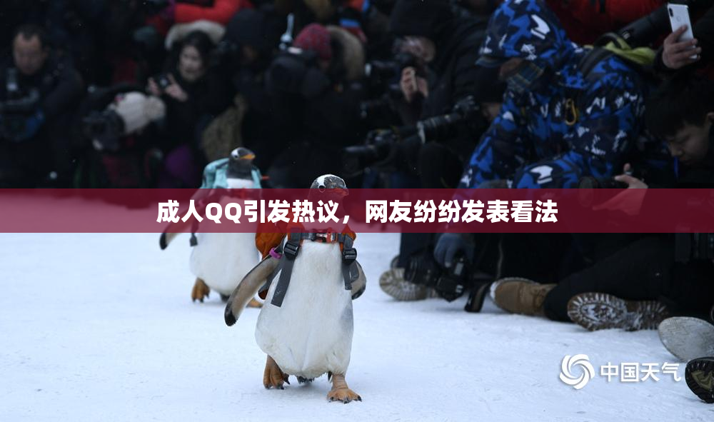 成人QQ引发热议，网友纷纷发表看法