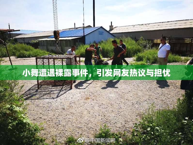 小舞遭遇裸露事件，引发网友热议与担忧
