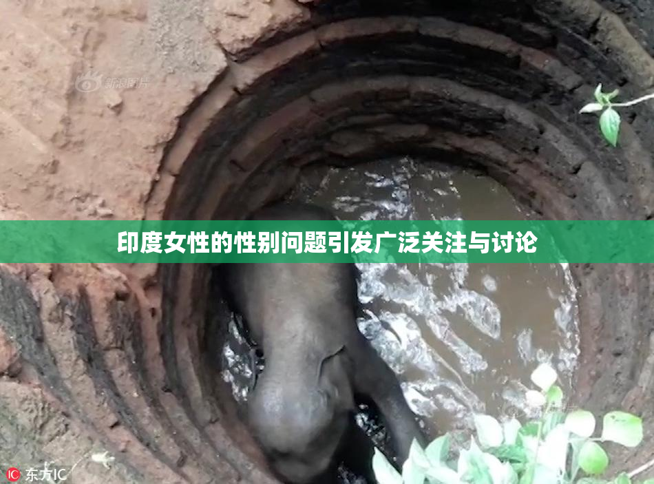 印度女性的性别问题引发广泛关注与讨论