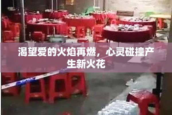 渴望爱的火焰再燃，心灵碰撞产生新火花
