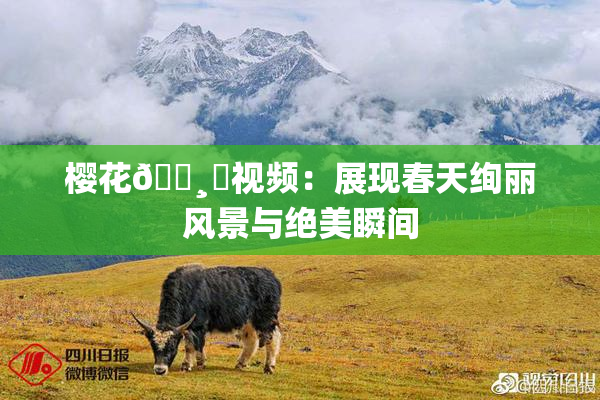 樱花🌸‌视频：展现春天绚丽风景与绝美瞬间