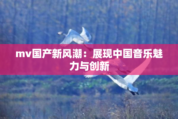 mv国产新风潮：展现中国音乐魅力与创新