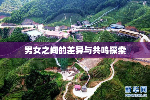 男女之间的差异与共鸣探索