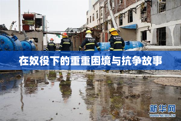 在奴役下的重重困境与抗争故事