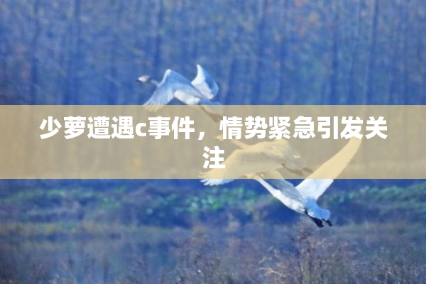 少萝遭遇c事件，情势紧急引发关注
