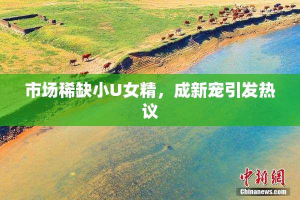市场稀缺小U女精，成新宠引发热议