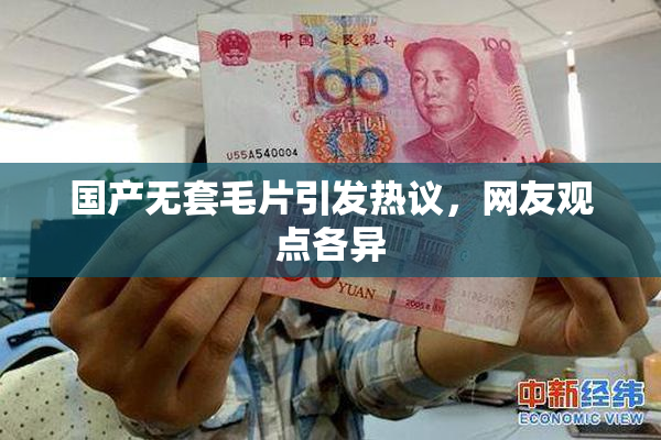 国产无套毛片引发热议，网友观点各异