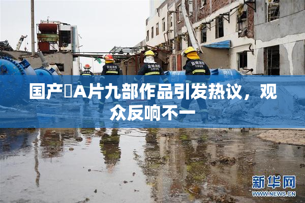 国产婬A片九部作品引发热议，观众反响不一