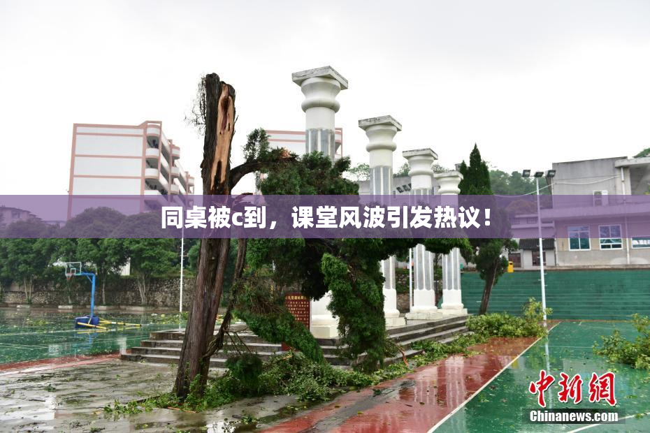 同桌被c到，课堂风波引发热议！