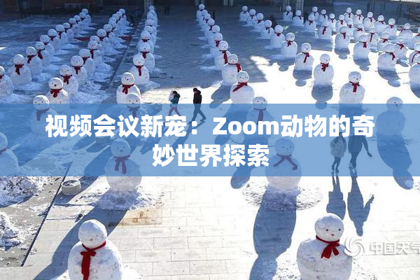 视频会议新宠：Zoom动物的奇妙世界探索