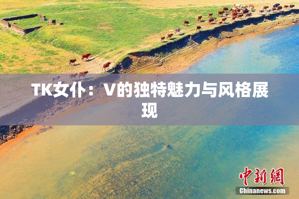 TK女仆：V的独特魅力与风格展现