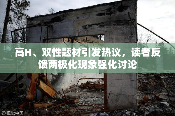 高H、双性题材引发热议，读者反馈两极化现象强化讨论