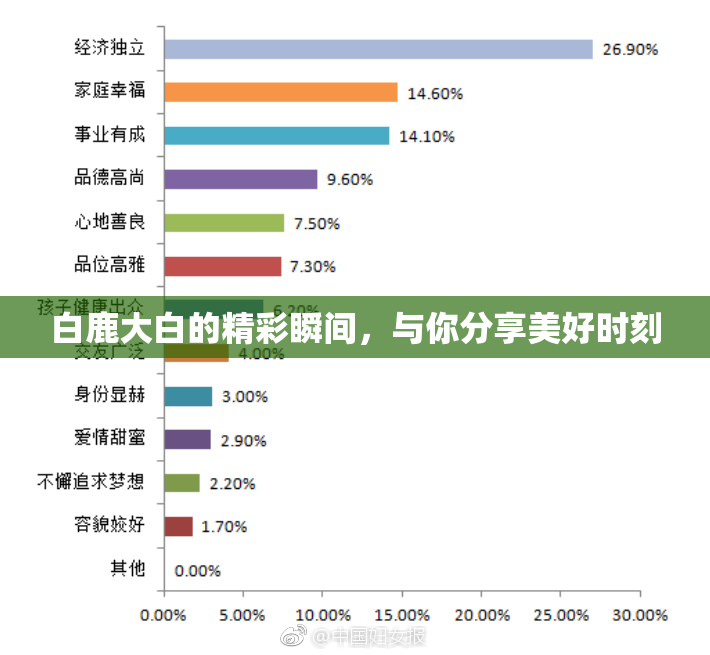 白鹿大白的精彩瞬间，与你分享美好时刻