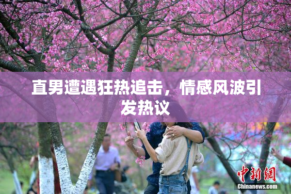 直男遭遇狂热追击，情感风波引发热议