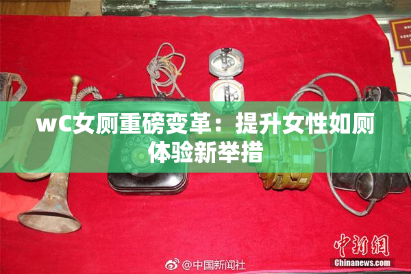 wC女厕重磅变革：提升女性如厕体验新举措