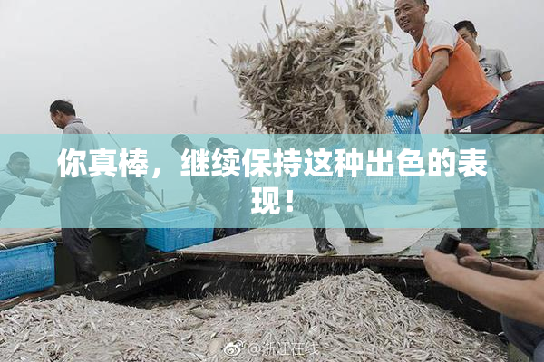 你真棒，继续保持这种出色的表现！