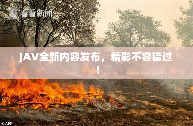 JAV全新内容发布，精彩不容错过！