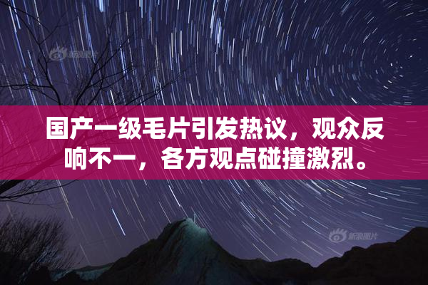 国产一级毛片引发热议，观众反响不一，各方观点碰撞激烈。