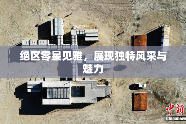 绝区零星见雅，展现独特风采与魅力