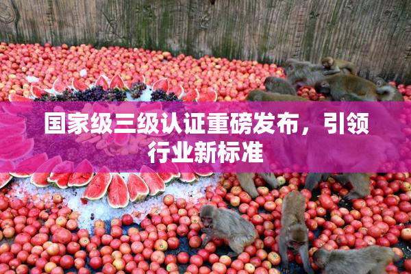 国家级三级认证重磅发布，引领行业新标准