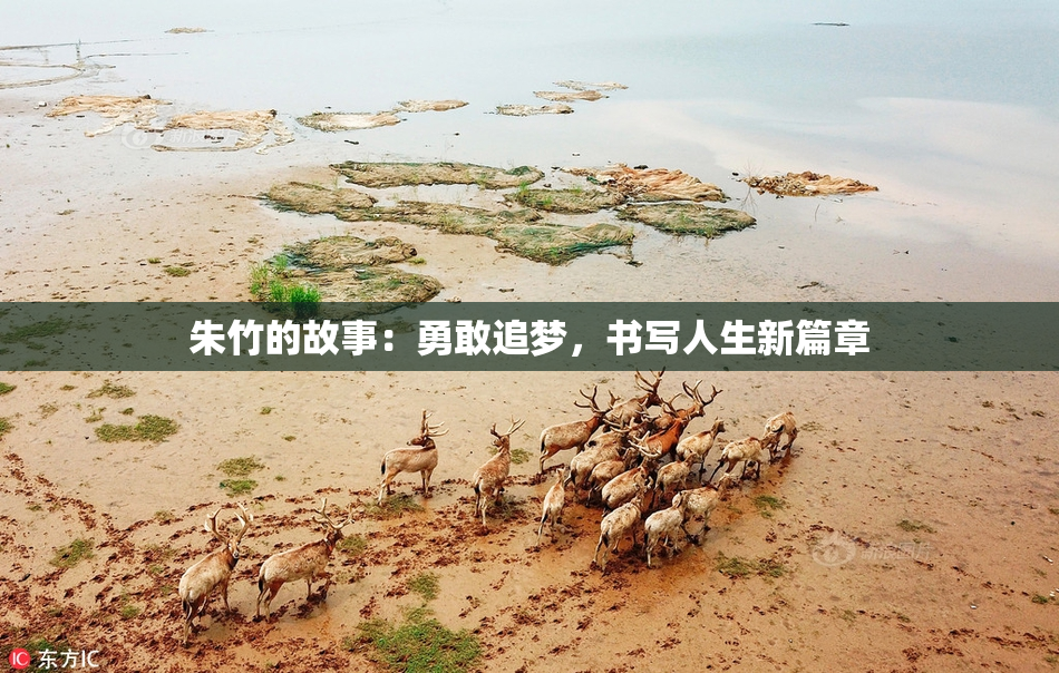 朱竹的故事：勇敢追梦，书写人生新篇章