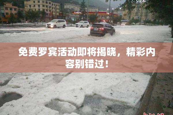 免费罗宾活动即将揭晓，精彩内容别错过！