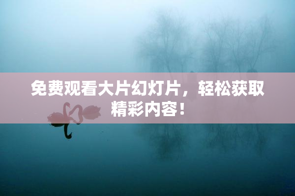 免费观看大片幻灯片，轻松获取精彩内容！