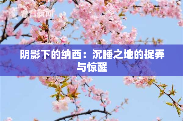 阴影下的纳西：沉睡之地的捉弄与惊醒