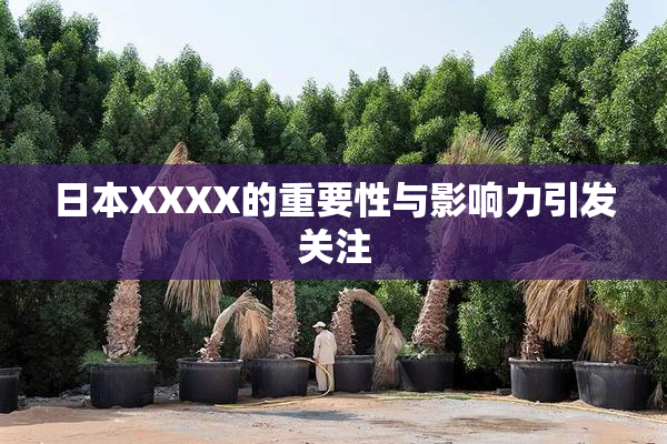 日本XXXX的重要性与影响力引发关注