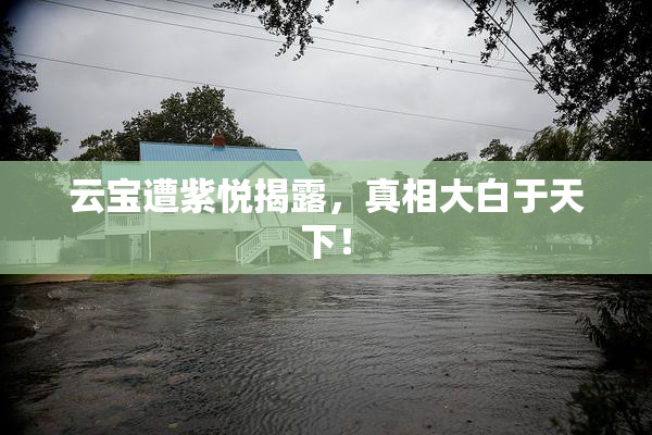 云宝遭紫悦揭露，真相大白于天下！