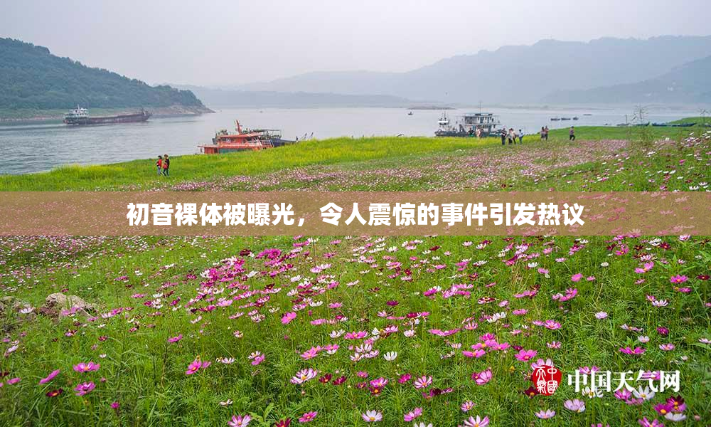 初音裸体被曝光，令人震惊的事件引发热议