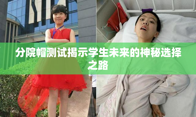 分院帽测试揭示学生未来的神秘选择之路