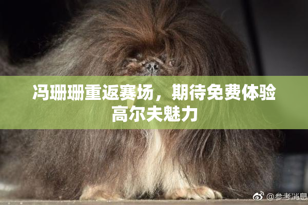 冯珊珊重返赛场，期待免费体验高尔夫魅力