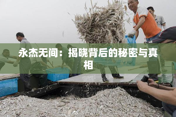 永杰无间：揭晓背后的秘密与真相