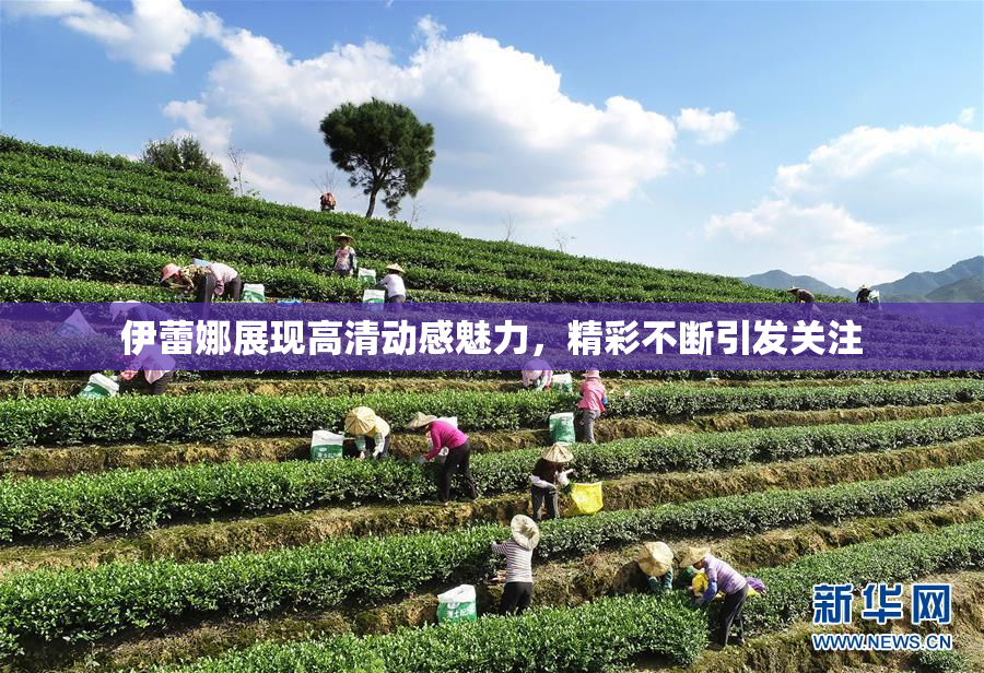 伊蕾娜展现高清动感魅力，精彩不断引发关注